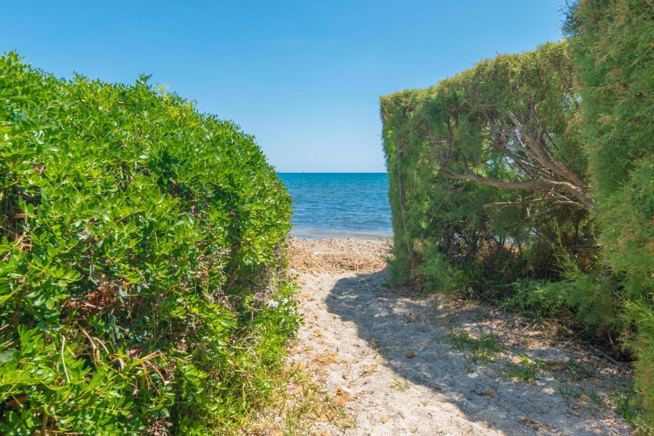 Sa Copinya Villa Son Servera  Dış mekan fotoğraf